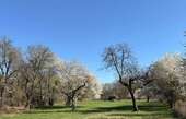 Blick hinter die Scheune - 