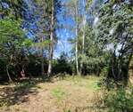 Blick auf`s Grundstück - GRUNDSTÜCK - RUHIGE LAGE VON PETERSHAGENEGGERSDORF......