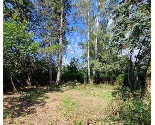 GRUNDSTÜCK - RUHIGE LAGE VON PETERSHAGENEGGERSDORF...... - Petershagen/Eggersdorf