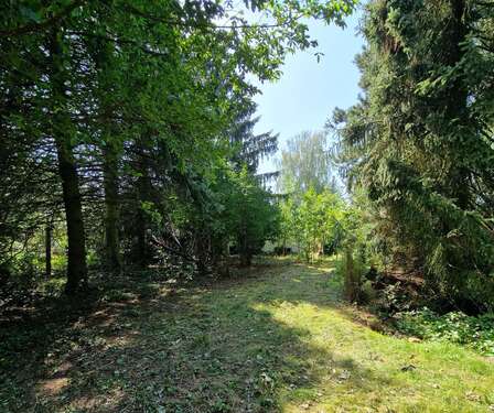 Blick nach hinten - BAUTRÄGERFREIES GRUNDSTÜCK - RUHIGE LAGE VON PETERSHAGENEGGERSDORF......