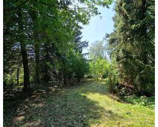 BAUTRÄGERFREIES GRUNDSTÜCK - RUHIGE LAGE VON PETERSHAGENEGGERSDORF...... - Petershagen/Eggersdorf