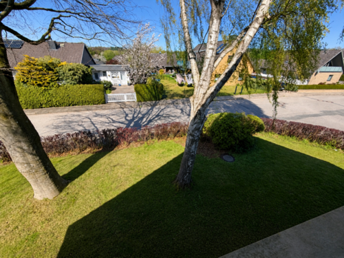 Ausblick ins Grüne - 