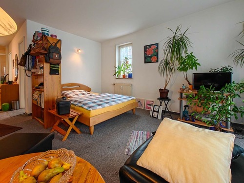 Schlafbereich - 1 Zimmer 1- Zimmerwohnung in Gomaringen