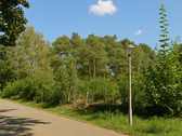 Straßenansicht - Grundstück in Petershagen-Eggersdorf zum Kaufen