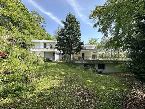 Ansicht vom Garten - 