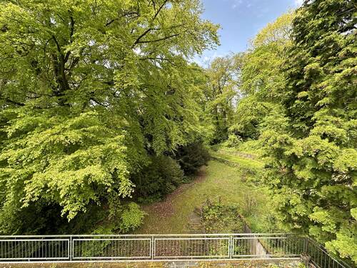 Blick in den Garten - 