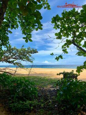 Foto - Grundstück in Costa Rica in einer der blauen Zonen der Erde