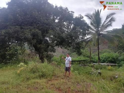 Foto - Grundstück in Costa Rica zum Kaufen