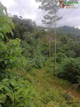 Foto - Grundstück in Costa Rica