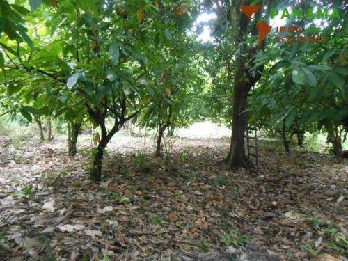 Foto - Grundstück in Costa Rica zum Kaufen