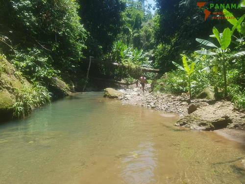 Foto - COSTA-RICA: Urwald Farm mit 31 ha Farm, Wasserquellen, Bächen bei Cahuita-Carbon