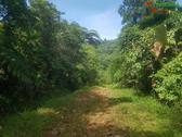 Foto - Grundstück zum Kaufen in Costa Rica