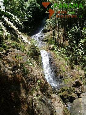 Wasserfall - 