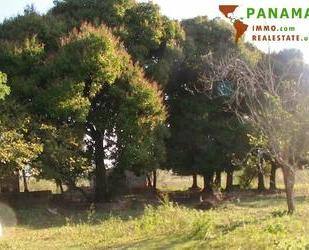 Paraguay: Natur belassenes Grundstück mit individueller Neubebauung - Piribebuy