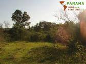 Foto - 4 Zimmer Bungalow zum Kaufen in Piribebuy