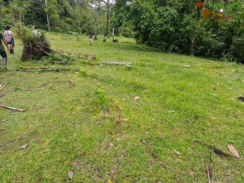 Foto - Grundstück in Bocas del Toro