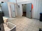 IMG_5020 - 
