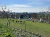 Ausblick - 