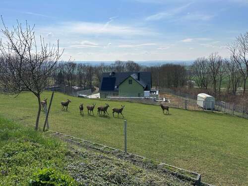 Ausblick - 