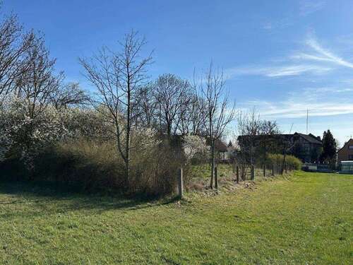 Garten - 