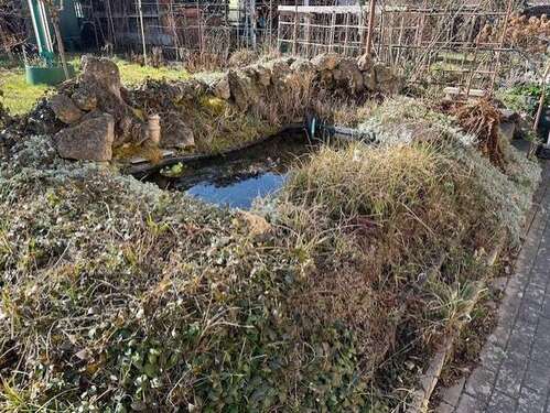 Teich - 