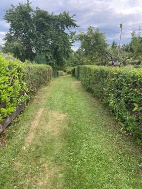 Weg zum Haus - 
