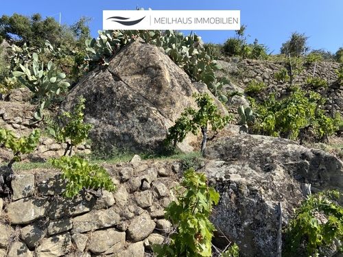 Grundstück - 3 Zimmer Bauernhaus, Landhaus in Gallodoro