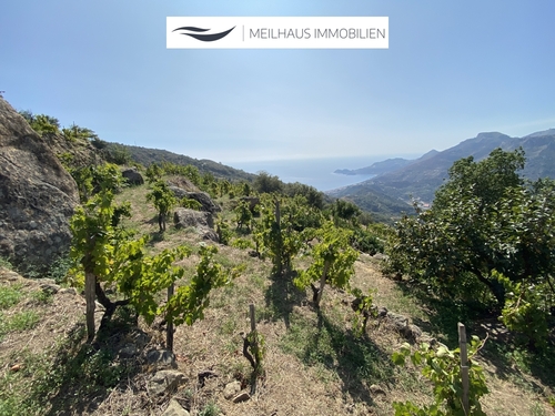 Grundstück mit Meerblick - SIZILIEN: Verwunschenes Landhaus im Dornröschen-Schlaf - GALLODORO