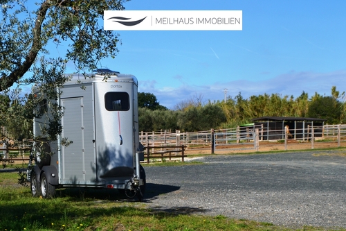 Paddocks - 