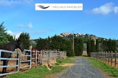 Paddocks - 