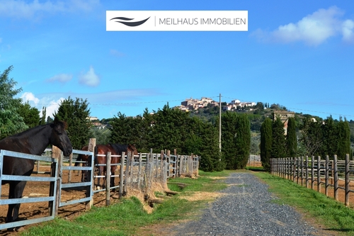 Paddocks - 