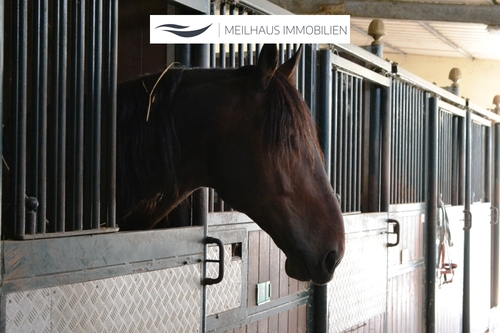 Pferdeboxen - 