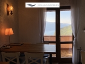 Blick auf den See - 