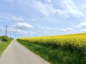 Umgebung - 