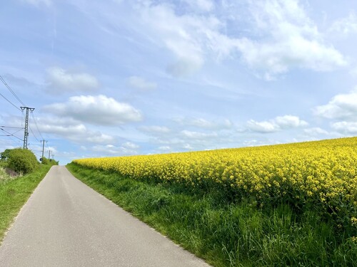 Umgebung - 