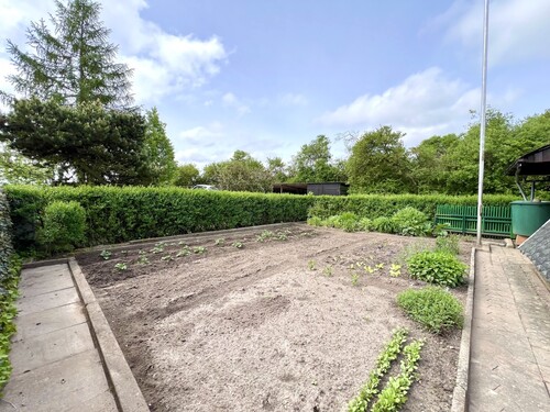 Gemüsegarten - 