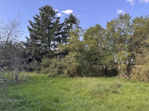 Grundstück - Grundstück in Göritz zum Kaufen