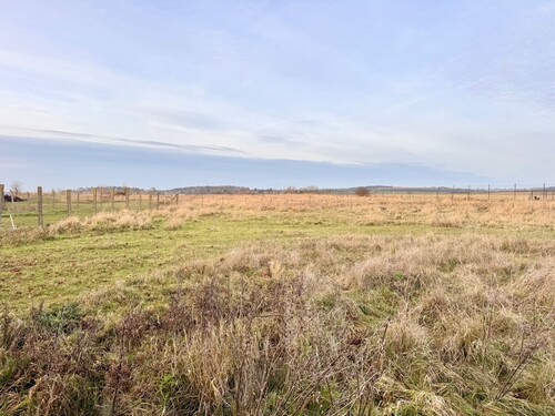 Randlage mit Weitblick - 