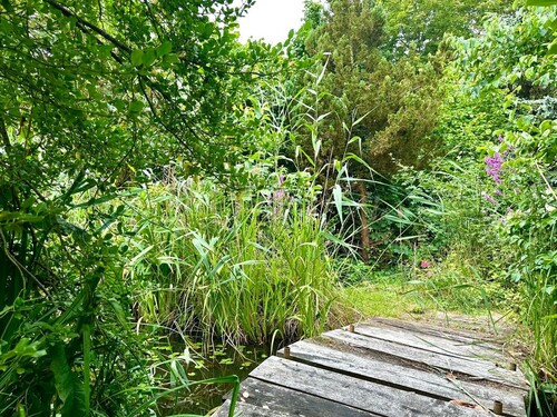 Gartenteich - 
