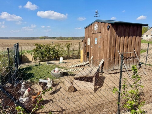 kleines Gehege mit Hühnerstall und jeden Tag ein frisches Ei - 