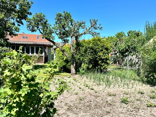 Gemüsegarten - 