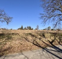 HORN IMMOBILIEN++ Baugrundstücke in Brüssow