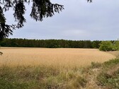 Nachbarschaft - 