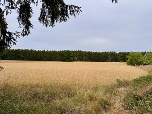 Nachbarschaft - 