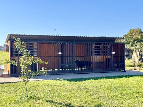 doppelter Hundezwinger - 