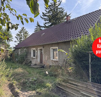 HORN IMMOBILIEN ++ Brietzig bei Pasewalk, Haus mit großem Grundstück, stark sanierungsbedürftig