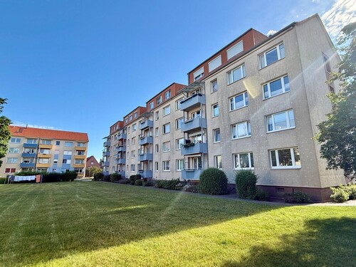 Rückseite - 