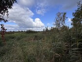 Grundstück - Einfamilienhaus mit 60,00 m² in Löcknitz zum Kaufen