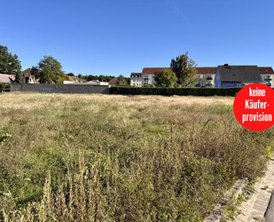 HORN IMMOBILIEN ++ Baugrundstücke in Eggesin