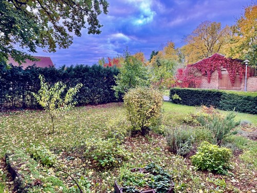 Garten - 